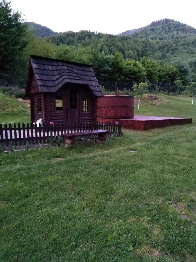 Pensiunea Roxana Valea Viseului Exterior foto