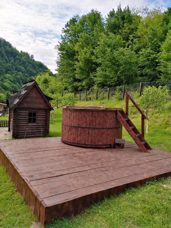 Pensiunea Roxana Valea Viseului Exterior foto