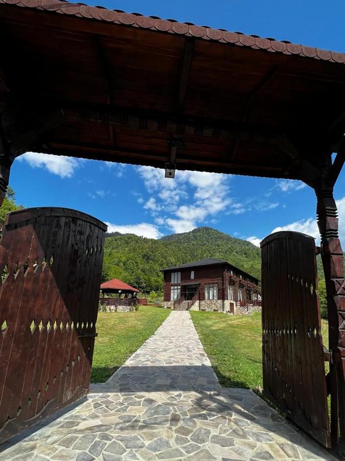 Pensiunea Roxana Valea Viseului Exterior foto