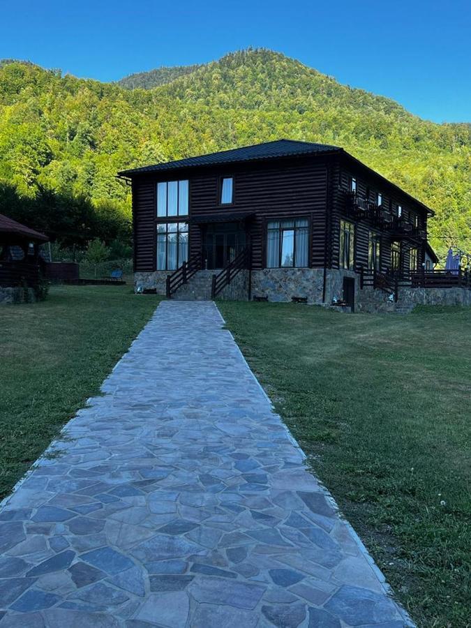Pensiunea Roxana Valea Viseului Exterior foto