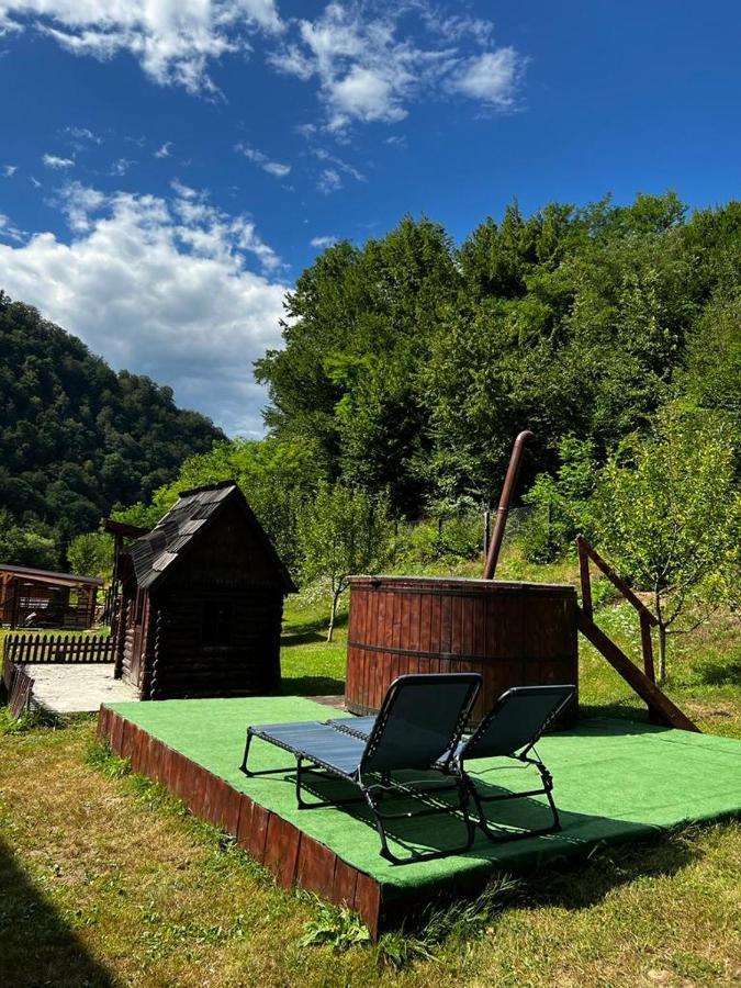 Pensiunea Roxana Valea Viseului Exterior foto