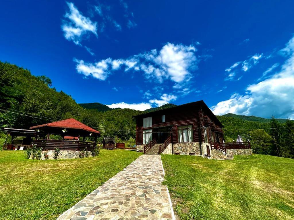 Pensiunea Roxana Valea Viseului Exterior foto