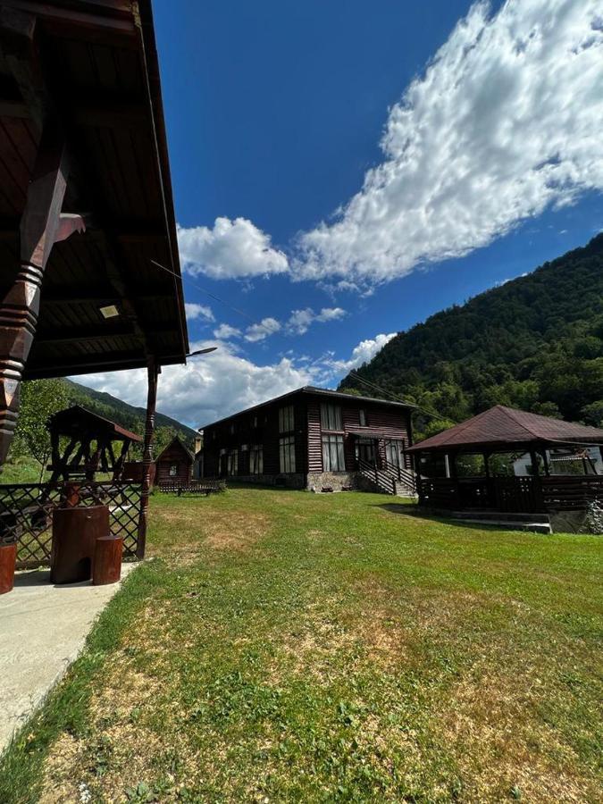 Pensiunea Roxana Valea Viseului Exterior foto