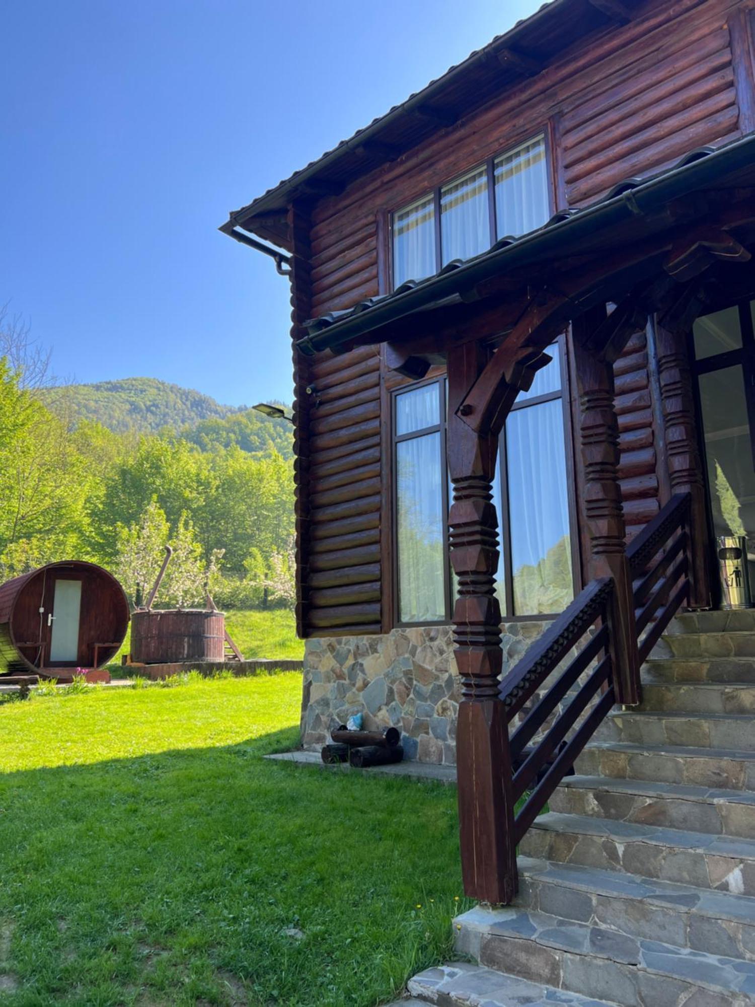 Pensiunea Roxana Valea Viseului Exterior foto